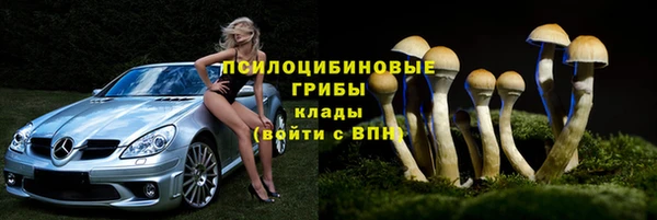 крисы Богданович