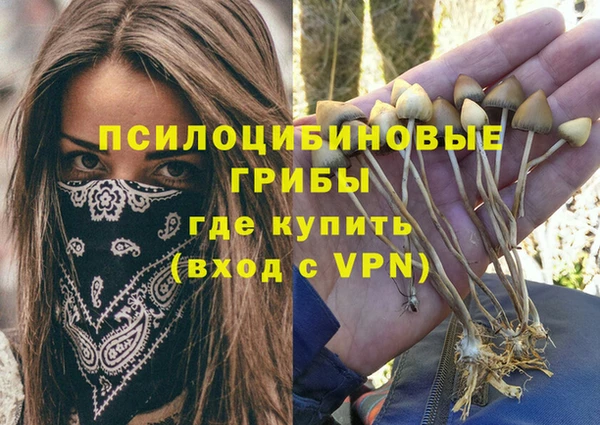 крисы Богданович