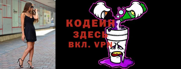мдпв Богородицк