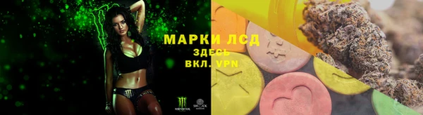 мдпв Богородицк