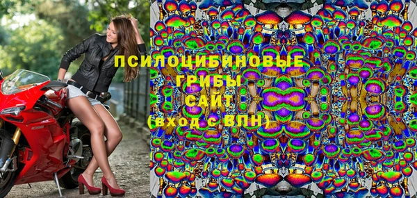 дурь Богородск