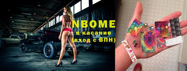 мдпв Богородицк