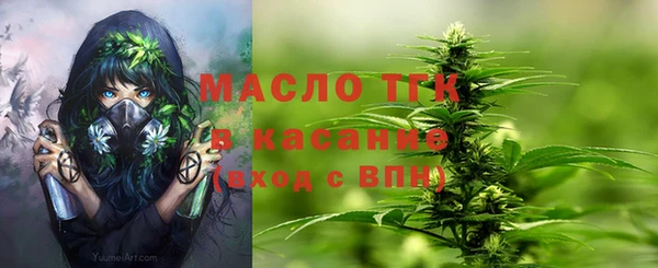 СК Новозыбков