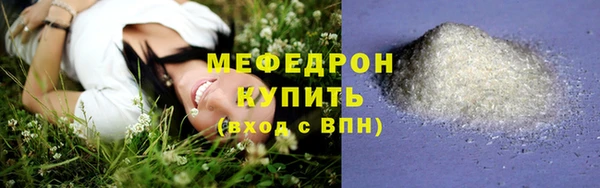 мдпв Богородицк